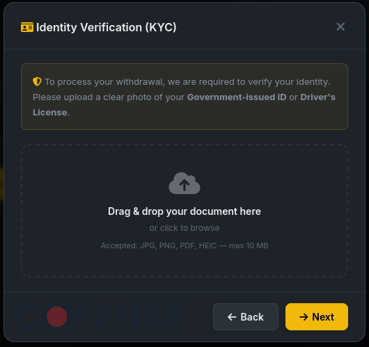 IRS-Themed Phishing 11